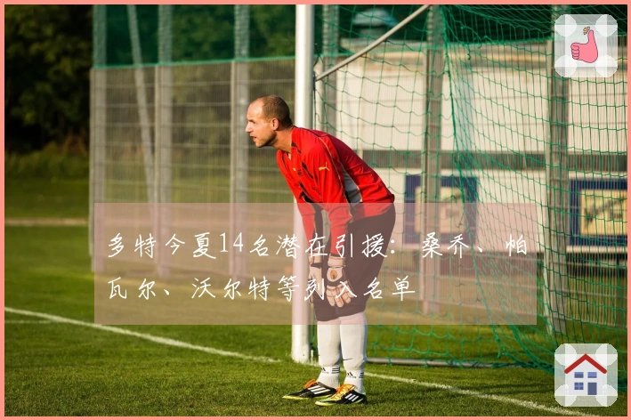 多特今夏14名潜在引援：桑乔、帕瓦尔、沃尔特等列入名单